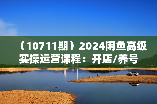 （10711期）2024闲鱼高级实操运营课程：开店/养号/选择爆款/引流/月入2万/全流程