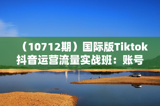 （10712期）国际版Tiktok抖音运营流量实战班：账号定位/作品发布/热门推送/等等-13节