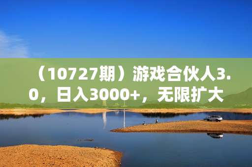 （10727期）游戏合伙人3.0，日入3000+，无限扩大的蓝海项目