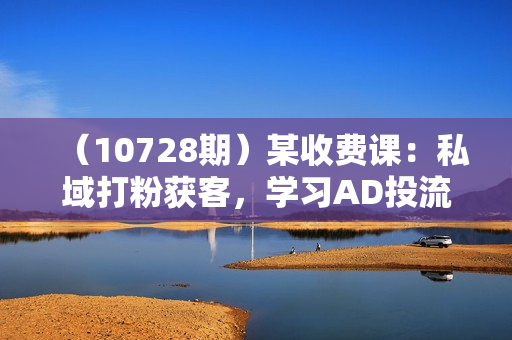 （10728期）某收费课：私域打粉获客，学习AD投流，为自己的私域囤积更多子弹