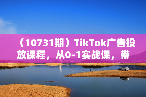 （10731期）TikTok广告投放课程，从0-1实战课，带你快速入门TikTok广告投放（30节课）