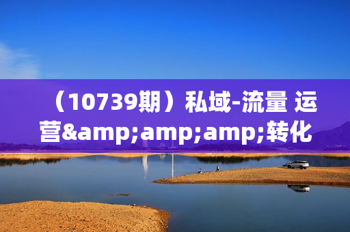 （10739期）私域-流量 运营&amp;amp;转化实操课：私域 运营实操攻略 让流量转化更高效