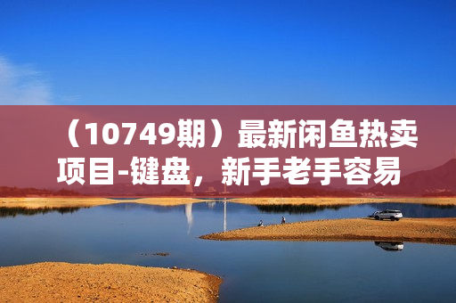 （10749期）最新闲鱼热卖项目-键盘，新手老手容易上手，日入过千，月入过万，赚钱