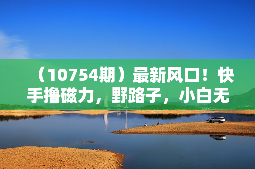 （10754期）最新风口！快手撸磁力，野路子，小白无脑操作日入2000+