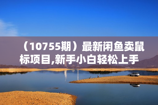（10755期）最新闲鱼卖鼠标项目,新手小白轻松上手，月入过万简简单单的赚钱教学