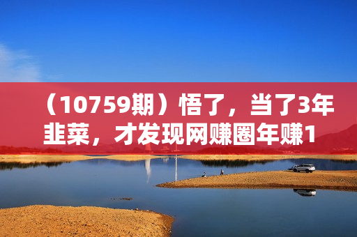 （10759期）悟了，当了3年韭菜，才发现网赚圈年赚100万的核心是卖项目，含泪分享！