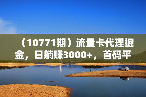 （10771期）流量卡代理掘金，日躺赚3000+，首码平台变现更暴力，多种推广途径，新