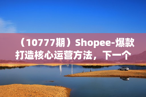（10777期）Shopee-爆款打造核心运营方法，下一个大卖就是你（13节课）