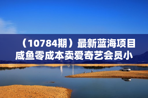 （10784期）最新蓝海项目咸鱼零成本卖爱奇艺会员小白有手就行 无脑操作轻松日入三位数