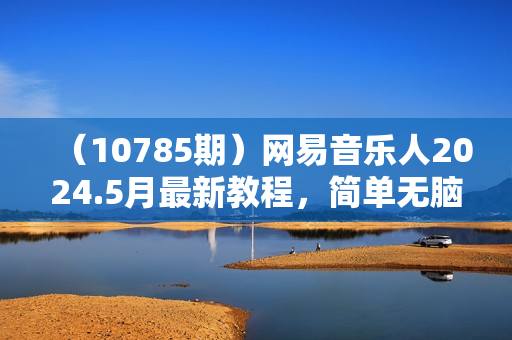 （10785期）网易音乐人2024.5月最新教程，简单无脑，收益第二天可见