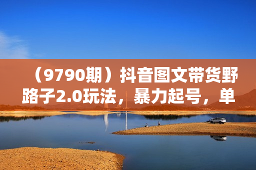 （9790期）抖音图文带货野路子2.0玩法，暴力起号，单日收益500+，小白也可轻松上手！