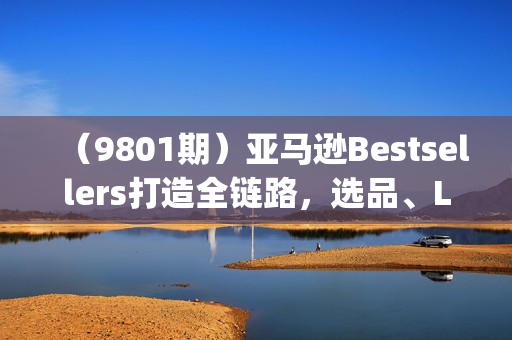 （9801期）亚马逊Bestsellers打造全链路，选品、Listing、广告投放全链路进阶优化