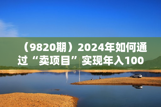（9820期）2024年如何通过“卖项目”实现年入100万