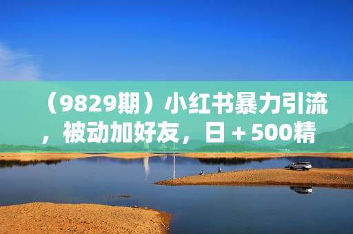（9829期）小红书暴力引流，被动加好友，日＋500精准粉，不发作品，不截流，不发私信