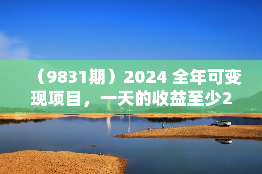 （9831期）2024 全年可变现项目，一天的收益至少2000+，上手非常快，无门槛