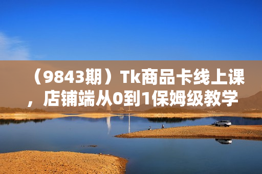 （9843期）Tk商品卡线上课，店铺端从0到1保姆级教学，了解商品卡底层逻辑（20节）
