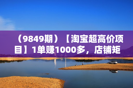 （9849期）【淘宝超高价项目】1单赚1000多，店铺矩阵操作