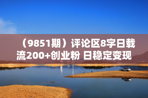 （9851期）评论区8字日载流200+创业粉 日稳定变现5000+24年四月最新教程！