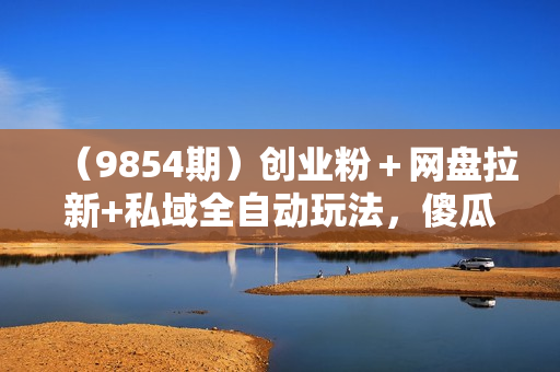 （9854期）创业粉＋网盘拉新+私域全自动玩法，傻瓜式操作，小白可做，当天见收益