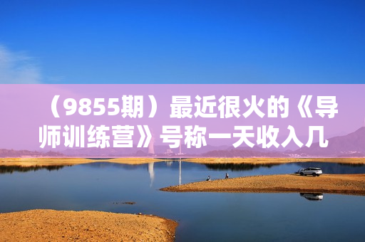 （9855期）最近很火的《导师训练营》号称一天收入几千（全套完整版课程+工具）
