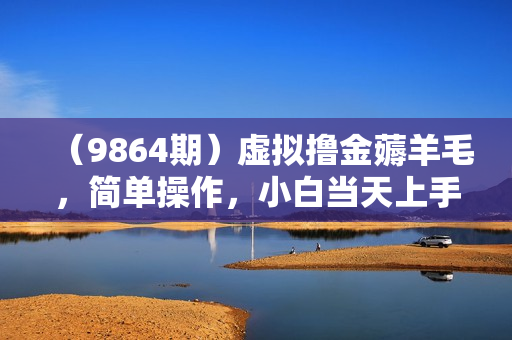 （9864期）虚拟撸金薅羊毛，简单操作，小白当天上手，月收益5000+