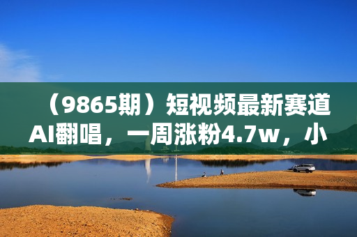 （9865期）短视频最新赛道AI翻唱，一周涨粉4.7w，小白也能上手，月入轻松破万