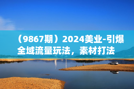 （9867期）2024美业-引爆全域流量玩法，素材打法 付费打法 底层逻辑 私城运营等(31节)