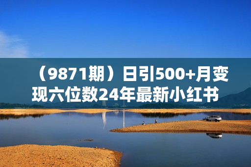 （9871期）日引500+月变现六位数24年最新小红书暴力引流兼职粉教程