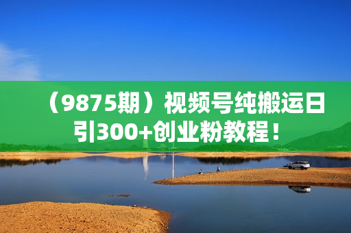 （9875期）视频号纯搬运日引300+创业粉教程！