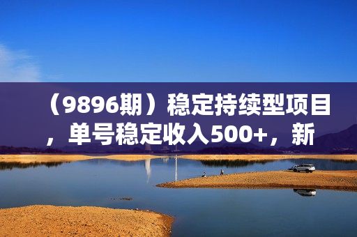 （9896期）稳定持续型项目，单号稳定收入500+，新手小白都能轻松月入过万