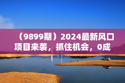 （9899期）2024最新风口项目来袭，抓住机会，0成本一部手机日入1000+，只需无脑复