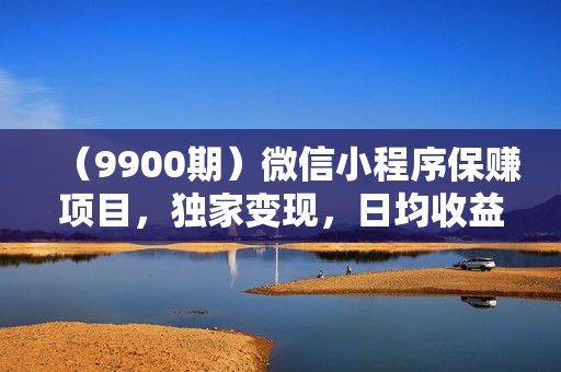 （9900期）微信小程序保赚项目，独家变现，日均收益100~500+