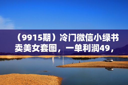 （9915期）冷门微信小绿书卖美女套图，一单利润49，轻松日入1000＋