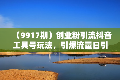 （9917期）创业粉引流抖音工具号玩法，引爆流量日引100+