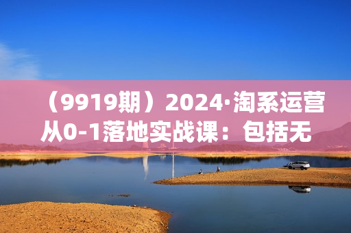 （9919期）2024·淘系运营从0-1落地实战课：包括无界系统实战落地玩法（32节）