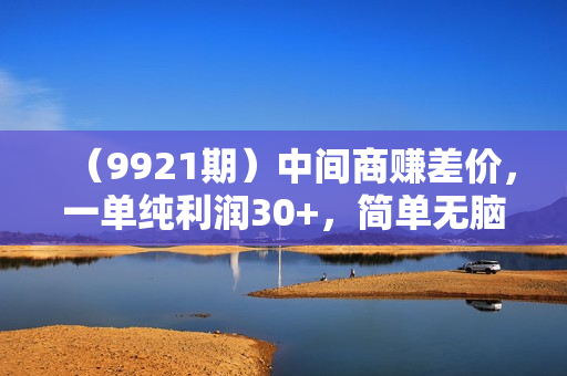 （9921期）中间商赚差价，一单纯利润30+，简单无脑操作，赚的就是信息差，日入1000+