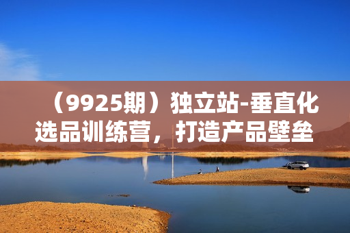 （9925期）独立站-垂直化选品训练营，打造产品壁垒，提升网站利润（3节直播课）