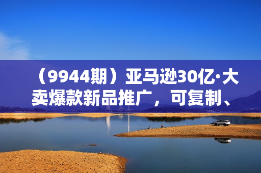 （9944期）亚马逊30亿·大卖爆款新品推广，可复制、全程案例实操的爆款推新SOP