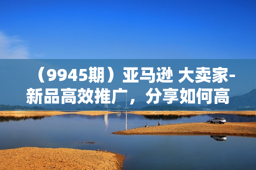 （9945期）亚马逊 大卖家-新品高效推广，分享如何高效推广，打造百万美金爆款单品