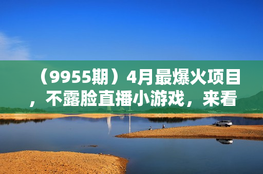 （9955期）4月最爆火项目，不露脸直播小游戏，来看高手是怎么赚钱的，每天收益3800
