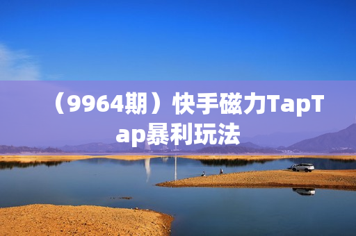 （9964期）快手磁力TapTap暴利玩法