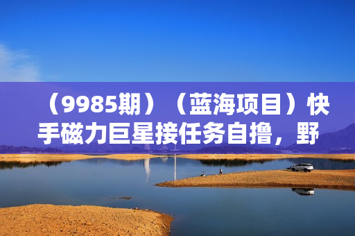 （9985期）（蓝海项目）快手磁力巨星接任务自撸，野路子，小白无脑操作日入2000+