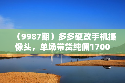 （9987期）多多硬改手机摄像头，单场带货纯佣1700+完美解决直播间被判问题，打造日