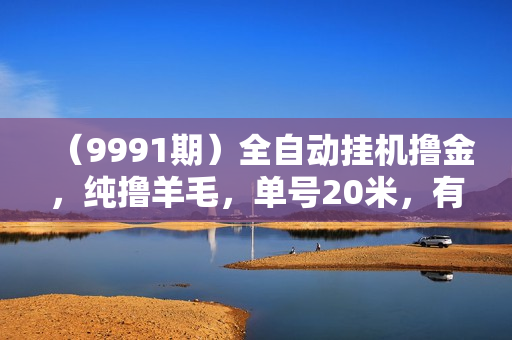 （9991期）全自动挂机撸金，纯撸羊毛，单号20米，有微信就行，可矩阵批量放大