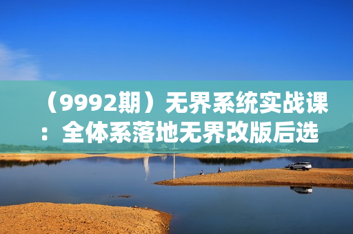 （9992期）无界系统实战课：全体系落地无界改版后选择、出价、高投产做付费引流-38节
