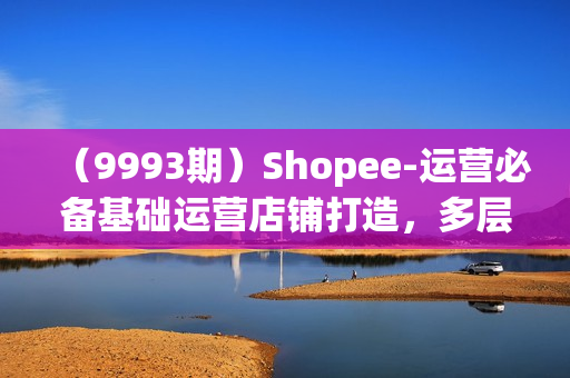（9993期）Shopee-运营必备基础运营店铺打造，多层次的教你从0-1运营店铺