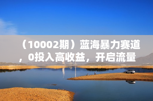 （10002期）蓝海暴力赛道，0投入高收益，开启流量变现新纪元，月入万元不是梦！