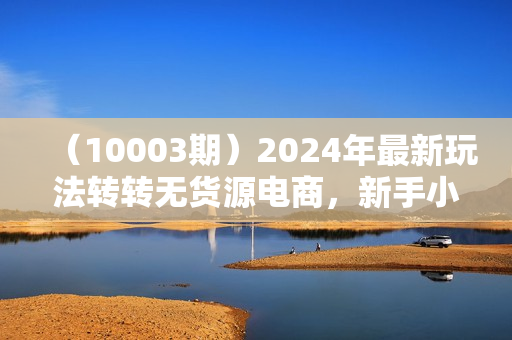 （10003期）2024年最新玩法转转无货源电商，新手小白 简单操作，长期稳定 日收入500＋