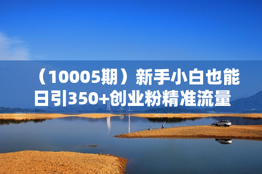 （10005期）新手小白也能日引350+创业粉精准流量！实现年入百万私域变现攻略