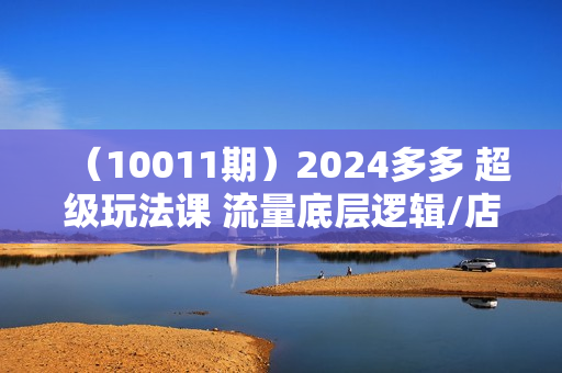 （10011期）2024多多 超级玩法课 流量底层逻辑/店铺定位/高转化布局/强付费/起爆玩法